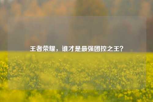 王者荣耀,谁才是最强团控之王?