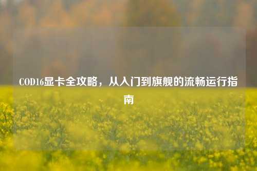 COD16显卡全攻略，从入门到旗舰的流畅运行指南