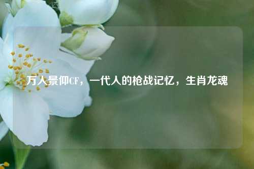 万人景仰CF，一代人的枪战记忆，生肖龙魂
