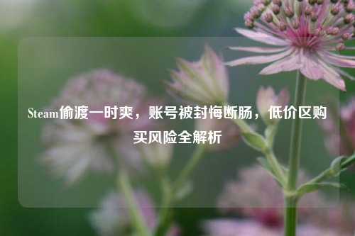 Steam偷渡一时爽，账号被封悔断肠，低价区购买风险全解析