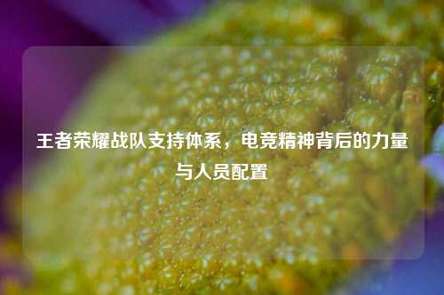 王者荣耀战队支持体系，电竞精神背后的力量与人员配置