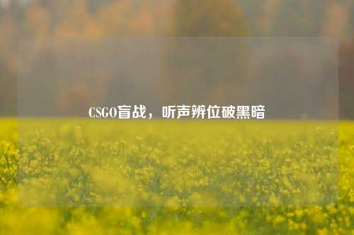 CSGO盲战，听声辨位破黑暗
