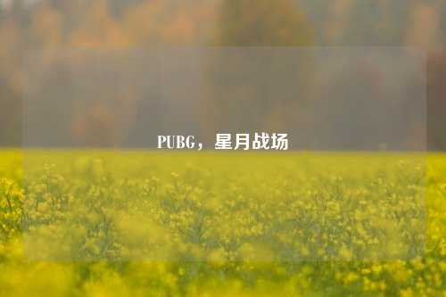 PUBG，星月战场