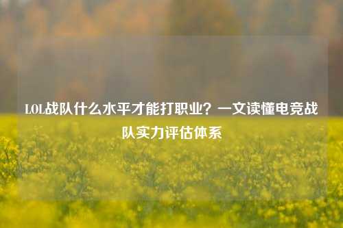 LOL战队什么水平才能打职业？一文读懂电竞战队实力评估体系