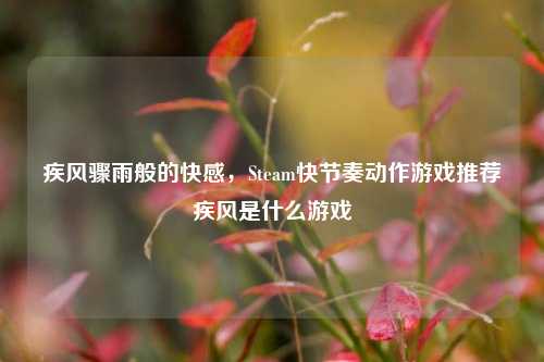 疾风骤雨般的快感，Steam快节奏动作游戏推荐疾风是什么游戏