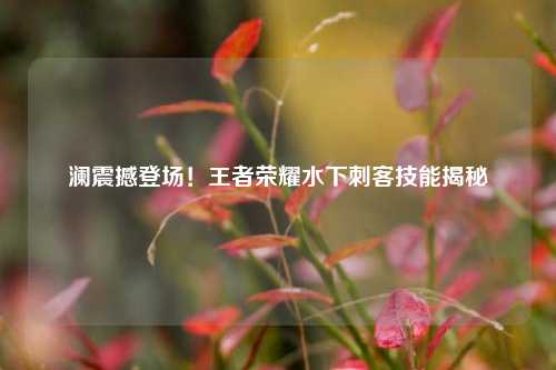 澜震撼登场！王者荣耀水下刺客技能揭秘