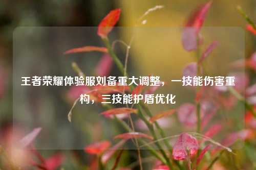 王者荣耀体验服刘备重大调整，一技能伤害重构，三技能护盾优化