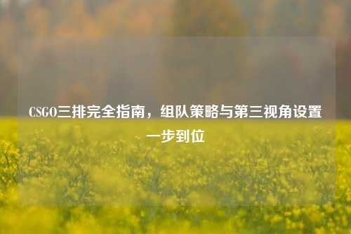 CSGO三排完全指南,组队策略与第三视角设置一步到位