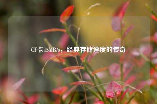 CF卡15MB/s,经典存储速度的传奇