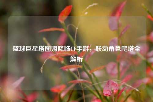篮球巨星塔图姆降临CF手游,联动角色爬塔全解析