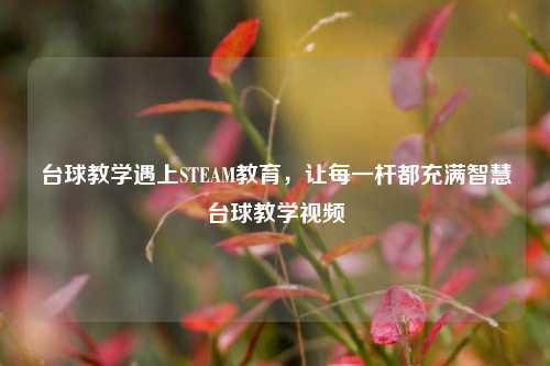台球教学遇上STEAM教育，让每一杆都充满智慧台球教学视频