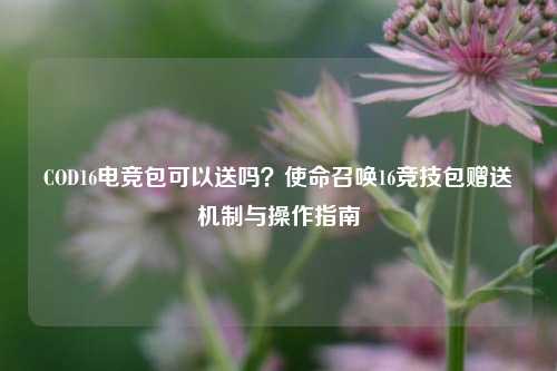 COD16电竞包可以送吗?使命召唤16竞技包赠送机制与操作指南