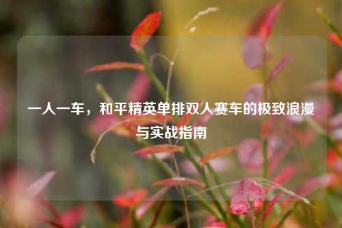 一人一车,和平精英单排双人赛车的极致浪漫与实战指南