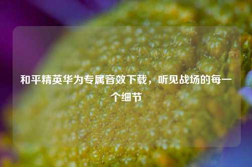 和平精英华为专属音效下载,听见战场的每一个细节