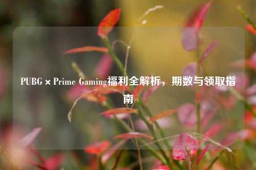 PUBG×Prime Gaming福利全解析，期数与领取指南