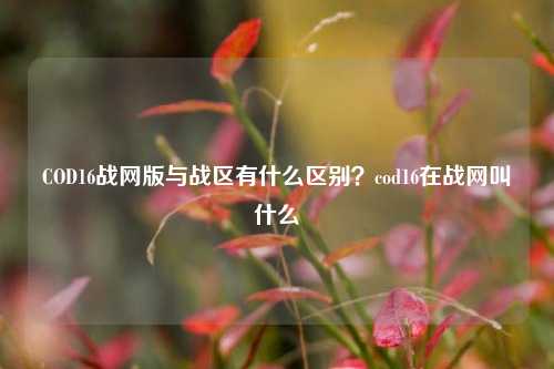 COD16战网版与战区有什么区别？cod16在战网叫什么