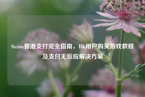 Steam香港支付完全指南,HK用户购买游戏教程及支付无反应解决方案