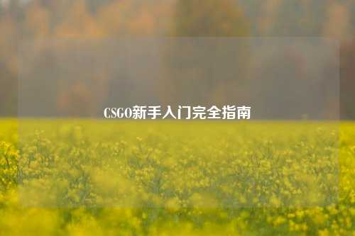 CSGO新手入门完全指南
