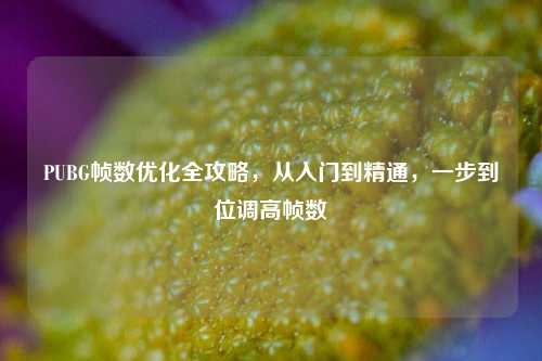 PUBG帧数优化全攻略,从入门到精通,一步到位调高帧数