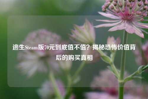 逃生Steam版70元到底值不值？揭秘恐怖价值背后的购买真相