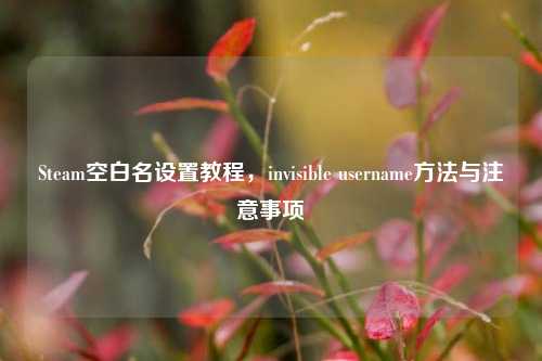 Steam空白名设置教程,invisible username方法与注意事项