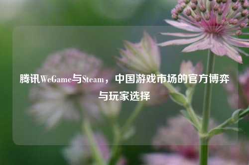 腾讯WeGame与Steam,中国游戏市场的官方博弈与玩家选择