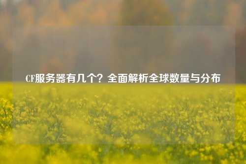 CF服务器有几个?全面解析全球数量与分布