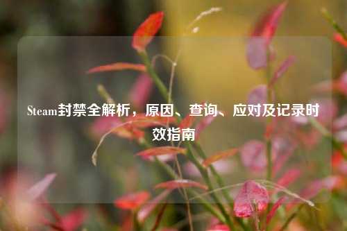Steam封禁全解析，原因、查询、应对及记录时效指南