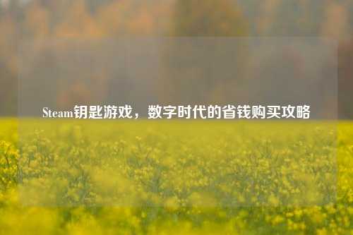 Steam钥匙游戏,数字时代的省钱购买攻略