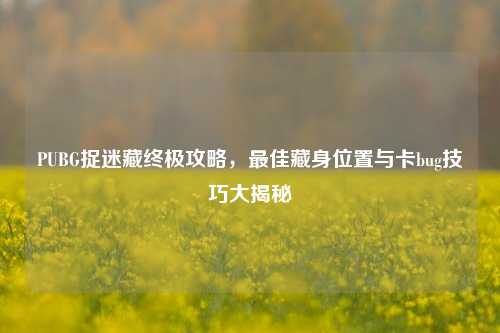 PUBG捉迷藏终极攻略,最佳藏身位置与卡bug技巧大揭秘