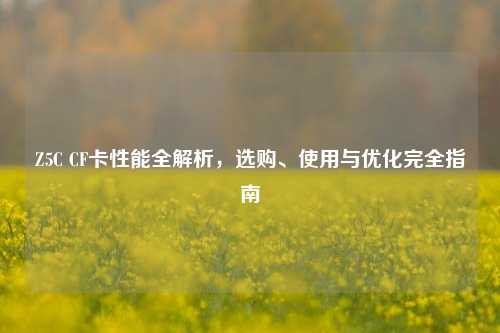 Z5C CF卡性能全解析,选购、使用与优化完全指南
