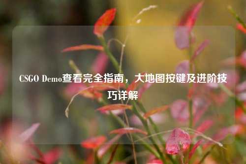 CSGO Demo查看完全指南，大地图按键及进阶技巧详解