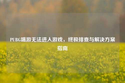 PUBG端游无法进入游戏，终极排查与解决方案指南