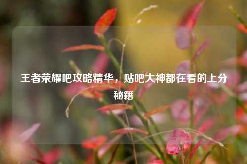 王者荣耀吧攻略精华,贴吧大神都在看的上分秘籍