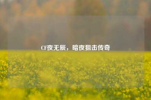 CF夜无辰,暗夜狙击传奇