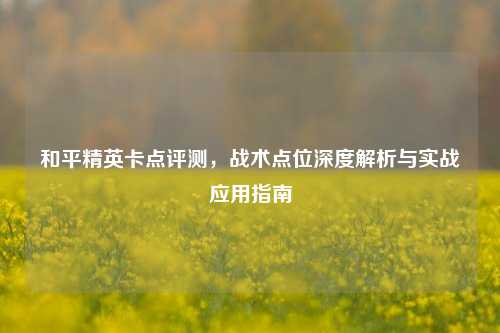和平精英卡点评测,战术点位深度解析与实战应用指南