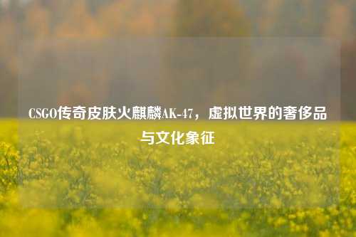 CSGO传奇皮肤火麒麟AK-47,虚拟世界的奢侈品与文化象征