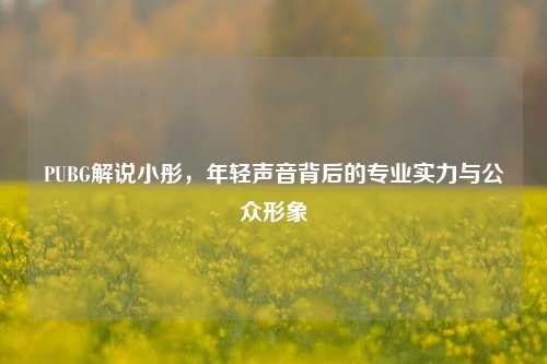 PUBG解说小彤，年轻声音背后的专业实力与公众形象