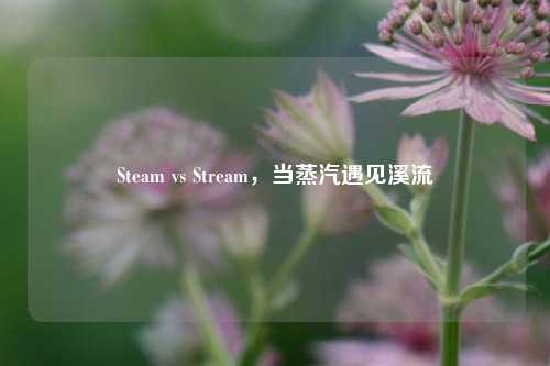 Steam vs Stream，当蒸汽遇见溪流
