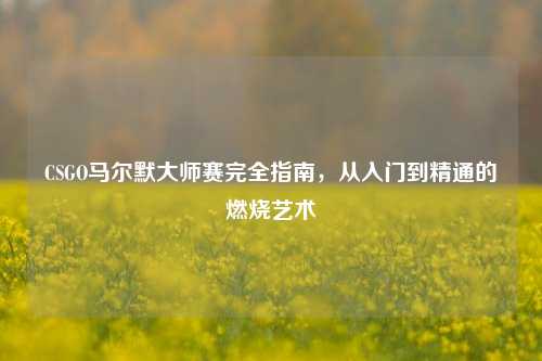CSGO马尔默大师赛完全指南，从入门到精通的燃烧艺术