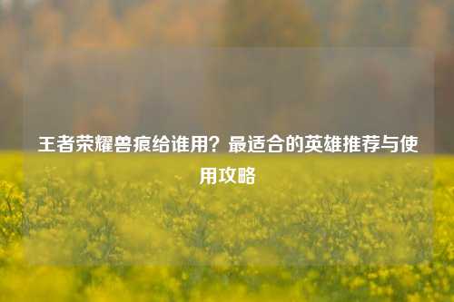 王者荣耀兽痕给谁用？最适合的英雄推荐与使用攻略