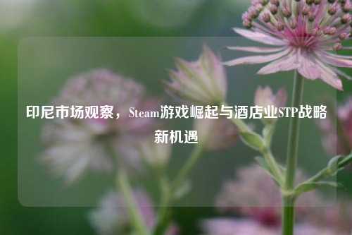 印尼市场观察，Steam游戏崛起与酒店业STP战略新机遇