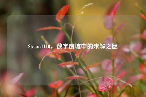 Steam1110,数字废墟中的未解之谜
