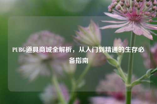 PUBG道具商城全解析,从入门到精通的生存必备指南