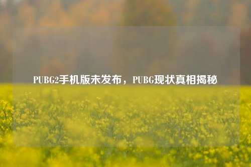 PUBG2手机版未发布，PUBG现状真相揭秘
