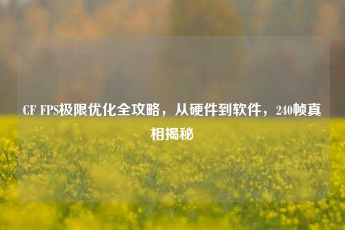 CF FPS极限优化全攻略,从硬件到软件,240帧真相揭秘