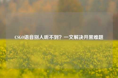 CSGO语音别人听不到？一文解决开黑难题