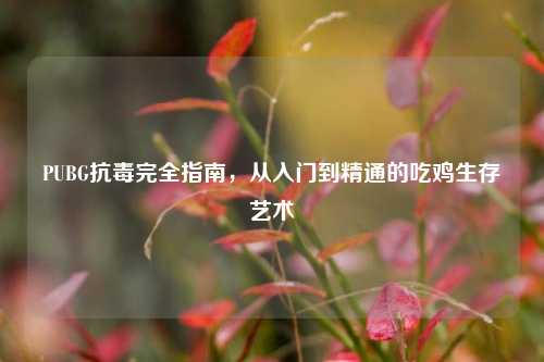 PUBG抗毒完全指南，从入门到精通的吃鸡生存艺术