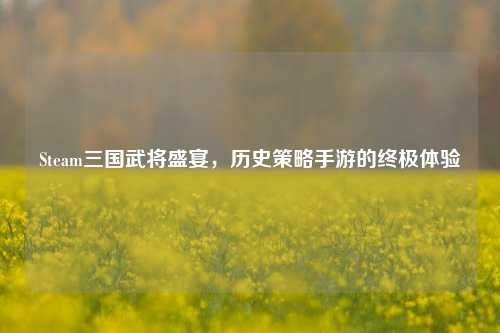 Steam三国武将盛宴，历史策略手游的终极体验