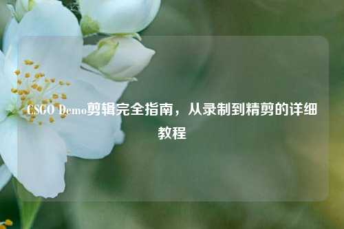 CSGO Demo剪辑完全指南,从录制到精剪的详细教程
